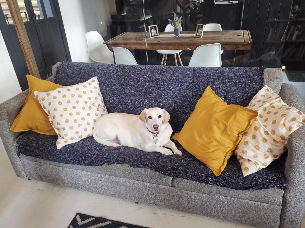 Auberge de jeunesse Metro Boutique Mexico